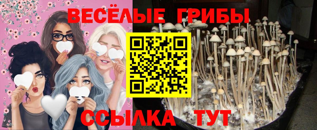 Галлюциногенные грибы мицелий Ачхой-Мартан