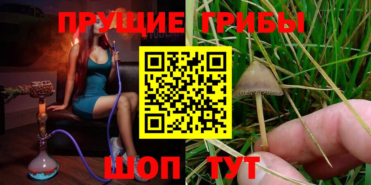 Ачхой-Мартан  Галлюциногенные грибы ЛСД  Вход с VPN 